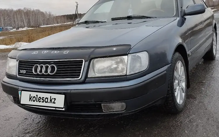 Audi 100 1992 года за 2 750 000 тг. в Петропавловск