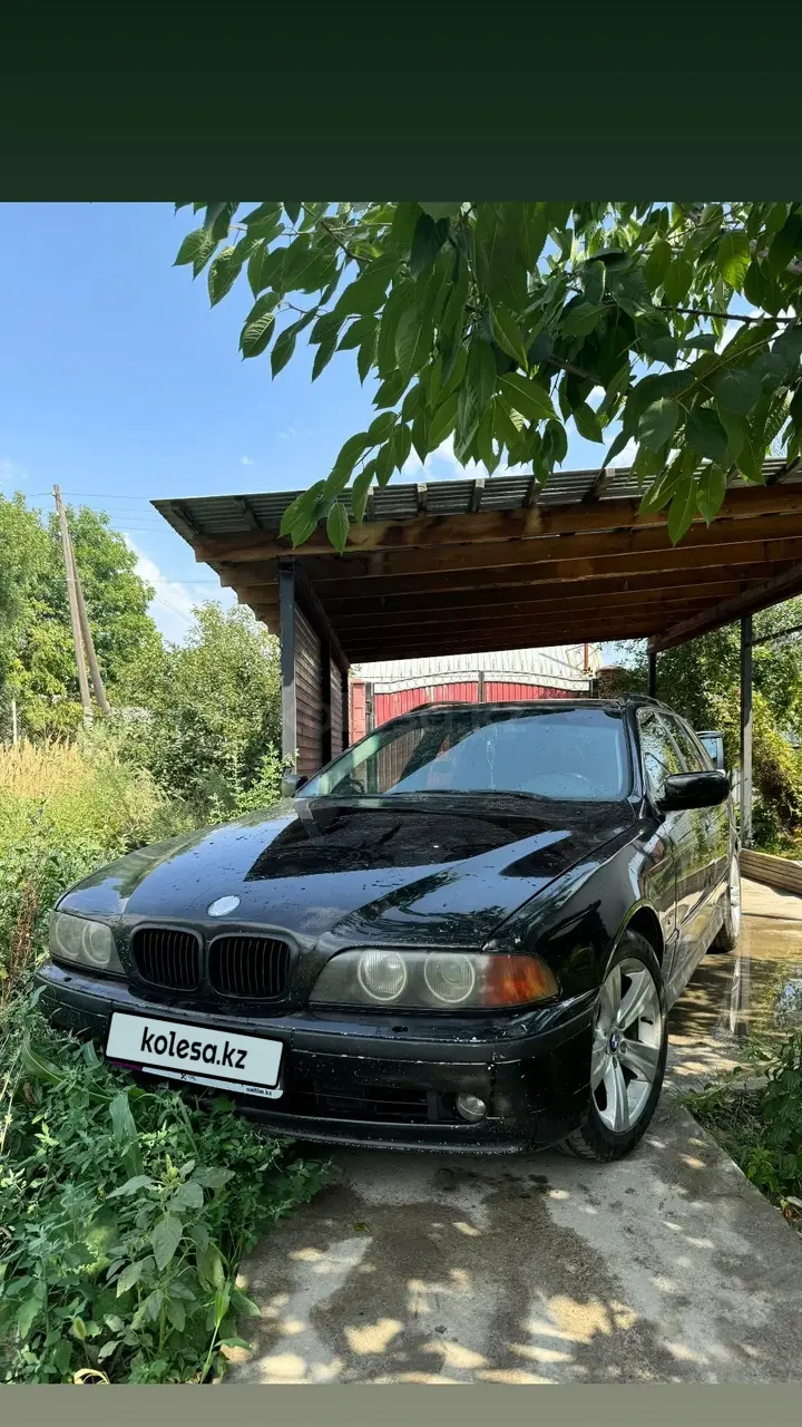 BMW 5 Series, 2001