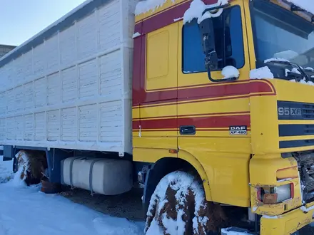 DAF  XF95-480 2002 года за 9 000 000 тг. в Тараз