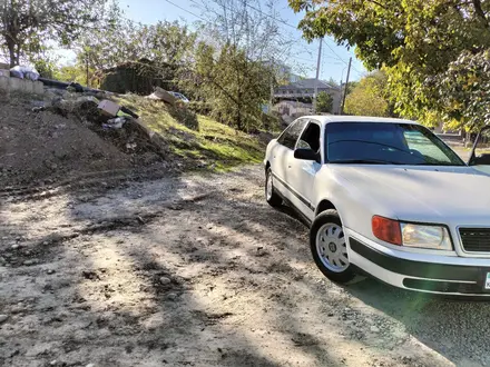 Audi 100 1992 года за 2 500 000 тг. в Шымкент