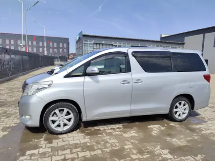 Toyota Alphard 2010 года за 11 500 000 тг. в Уральск – фото 3