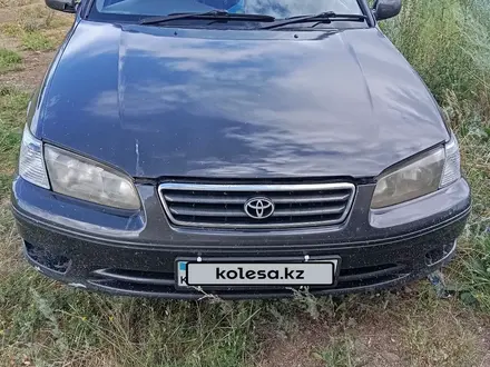 Toyota Camry 1999 года за 3 300 000 тг. в Шемонаиха – фото 3