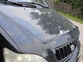 Lexus RX 300 2002 годаүшін4 800 000 тг. в Усть-Каменогорск – фото 13