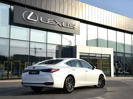 Lexus ES 250 Progressive 2025 года за 29 383 900 тг. в Шымкент – фото 16