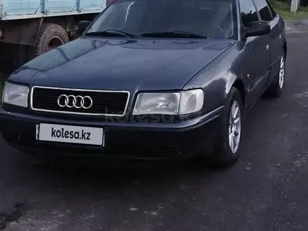 Audi 100 1991 годаүшін1 600 000 тг. в Шымкент – фото 8