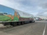 Schmitz Cargobull  SKO 2013 года за 15 700 000 тг. в Алматы – фото 4