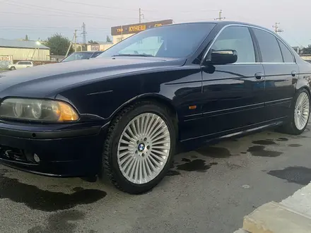 BMW 525 2001 года за 3 550 000 тг. в Тараз – фото 3