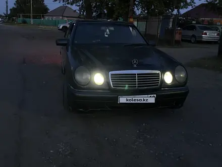 Mercedes-Benz E 200 1996 года за 1 650 000 тг. в Рудный – фото 2