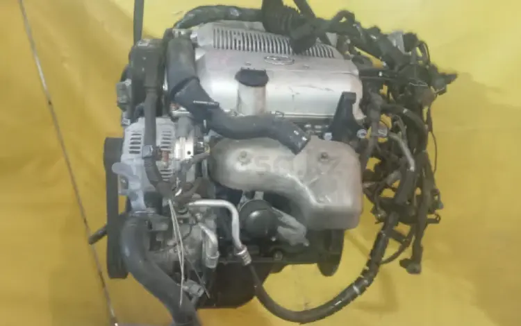 Контрактный двигатель Toyota Windom 3VZ VCV10 за 650 000 тг. в Караганда