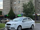 Chevrolet Nexia 2022 годаүшін5 100 000 тг. в Алматы