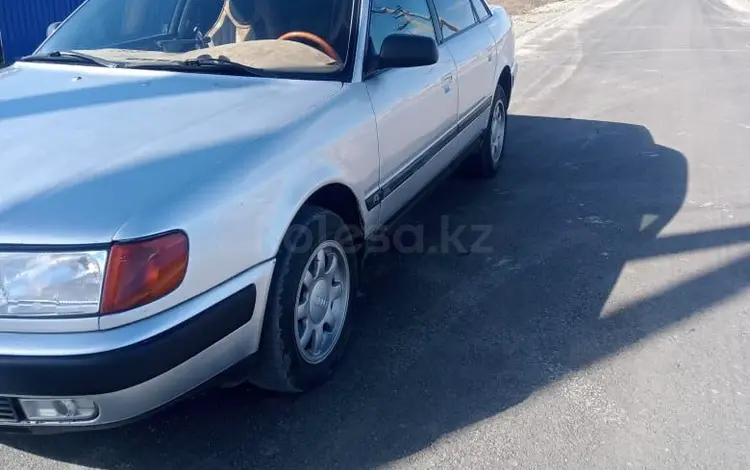 Audi 100 1993 года за 2 500 000 тг. в Тимирязево