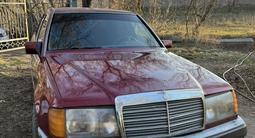 Mercedes-Benz E 260 1991 годаүшін900 000 тг. в Алматы