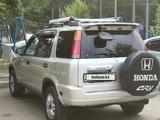 Honda CR-V 1996 года за 4 000 000 тг. в Талдыкорган – фото 5