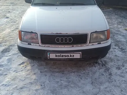 Audi 100 1992 года за 1 300 000 тг. в Павлодар