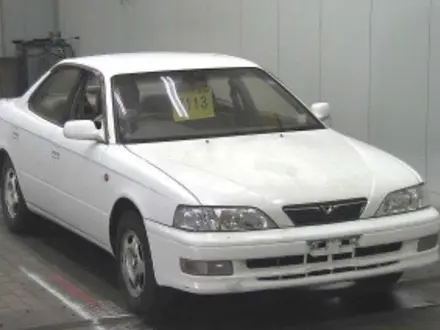 Ноускат за 10 000 тг. в Усть-Каменогорск – фото 30