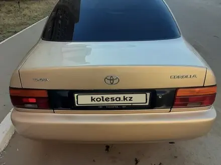 Toyota Corolla 1996 годаүшін2 050 000 тг. в Павлодар – фото 2