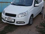 Chevrolet Nexia 2020 годаүшін3 500 000 тг. в Павлодар – фото 3
