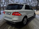 Mercedes-Benz ML 350 2012 года за 15 000 000 тг. в Караганда – фото 3