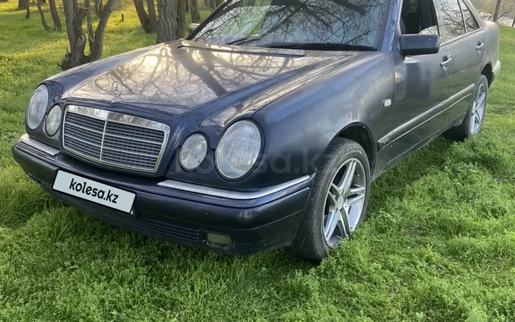 Mercedes-Benz E 230 1995 годаүшін2 500 000 тг. в Алматы