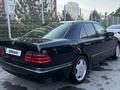 Mercedes-Benz E 280 2001 годаүшін3 700 000 тг. в Шымкент – фото 7