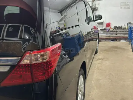 Toyota Alphard 2012 года за 16 000 000 тг. в Степногорск – фото 4