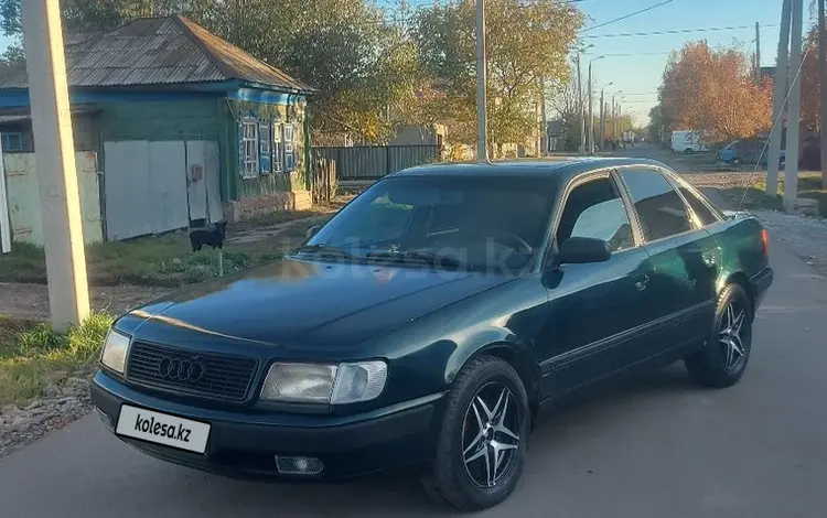 Audi 100 1994 годаүшін1 750 000 тг. в Петропавловск