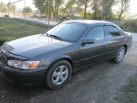 Toyota Camry 1999 года за 4 000 000 тг. в Алматы