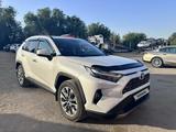 Toyota RAV4 2023 года за 17 400 000 тг. в Уральск