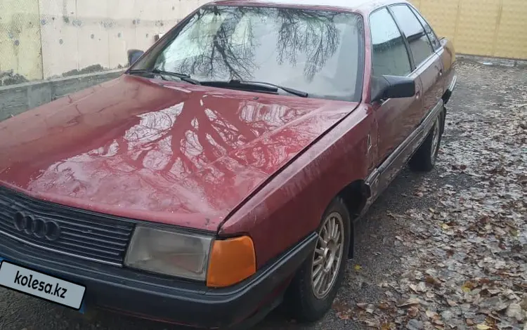 Audi 100 1988 года за 500 000 тг. в Алматы