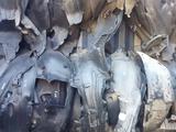 Подкрылок Форд за 10 000 тг. в Астана