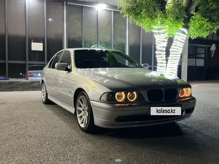 BMW 530 2002 года за 3 100 000 тг. в Шымкент – фото 2