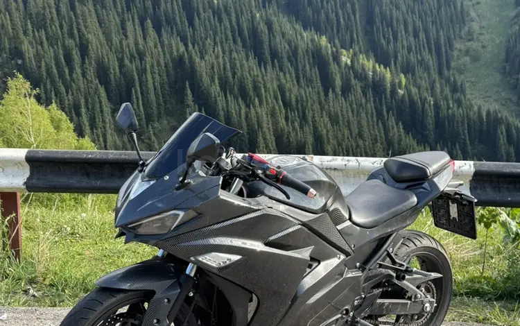 Ducati  1199 Panigale 2025 года за 1 700 000 тг. в Алматы