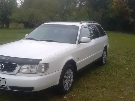 Audi A6 1997 года за 2 350 000 тг. в Шымкент