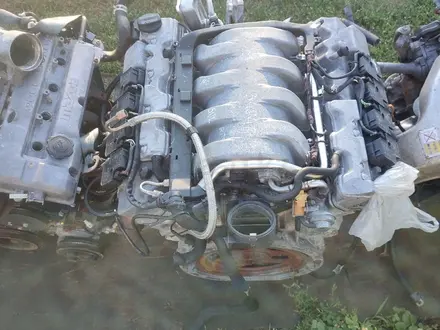 Двигатель на Мерседес 113 за 450 000 тг. в Алматы – фото 3