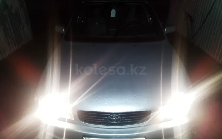 Toyota Corolla 2001 года за 2 400 000 тг. в Алматы