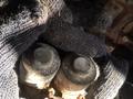 Клапана печки мерседес за 12 000 тг. в Караганда – фото 2
