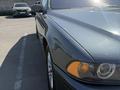 BMW 525 2000 годаүшін4 700 000 тг. в Алматы – фото 10