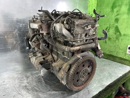 Привозной двигатель D4CB V2.5 TDI CRDI из Кореи! за 550 000 тг. в Астана – фото 7