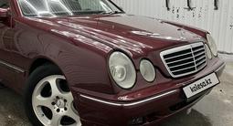 Mercedes-Benz E 320 2001 годаүшін4 500 000 тг. в Жезказган – фото 3