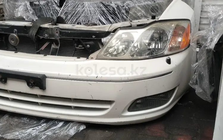 Toyota avalon носик мордаүшін280 000 тг. в Алматы