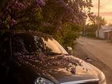 ВАЗ (Lada) Priora 2170 2015 годаүшін4 000 000 тг. в Усть-Каменогорск