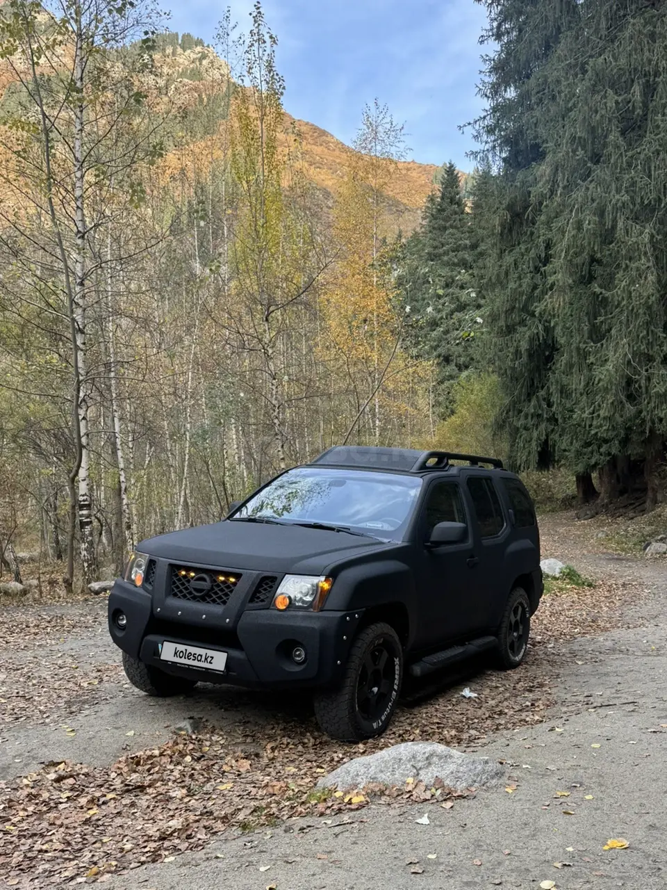 Nissan X-Terra, 2010