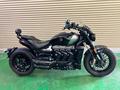 Triumph  Triumph Japan НА ЗАКАЗ 2025 года за 777 888 тг. в Алматы – фото 34