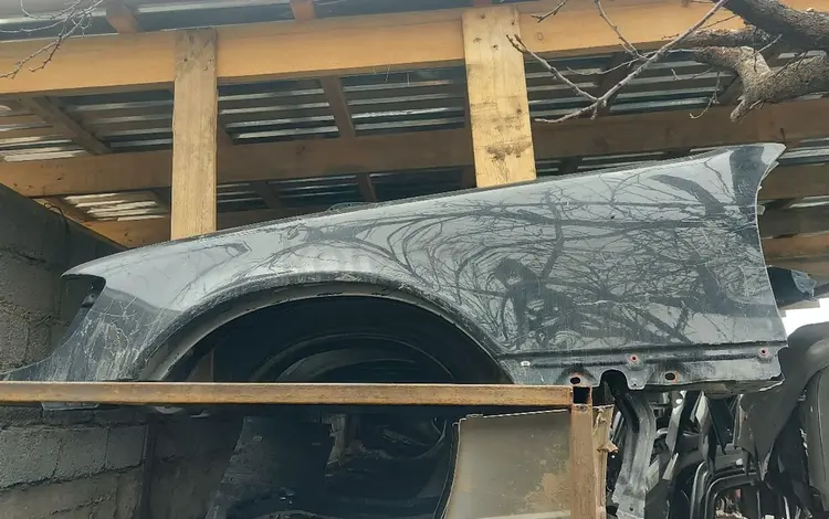 W140 крылья за 25 000 тг. в Шымкент