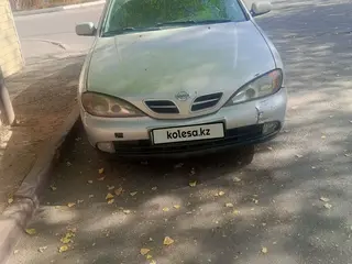 Nissan Primera