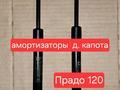 Брызговики на Прадо120 за 25 000 тг. в Усть-Каменогорск – фото 6