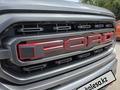 Ford F-Series 2023 года за 32 000 000 тг. в Алматы – фото 13