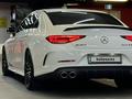 Mercedes-Benz CLS 53 AMG 2023 года за 59 000 000 тг. в Алматы – фото 26
