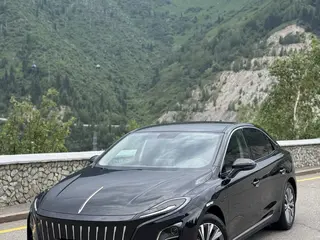 Hongqi E-QM5