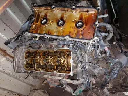 Двигатель матор каробка 3MZ-FE 3.3 л за 600 000 тг. в Алматы – фото 30